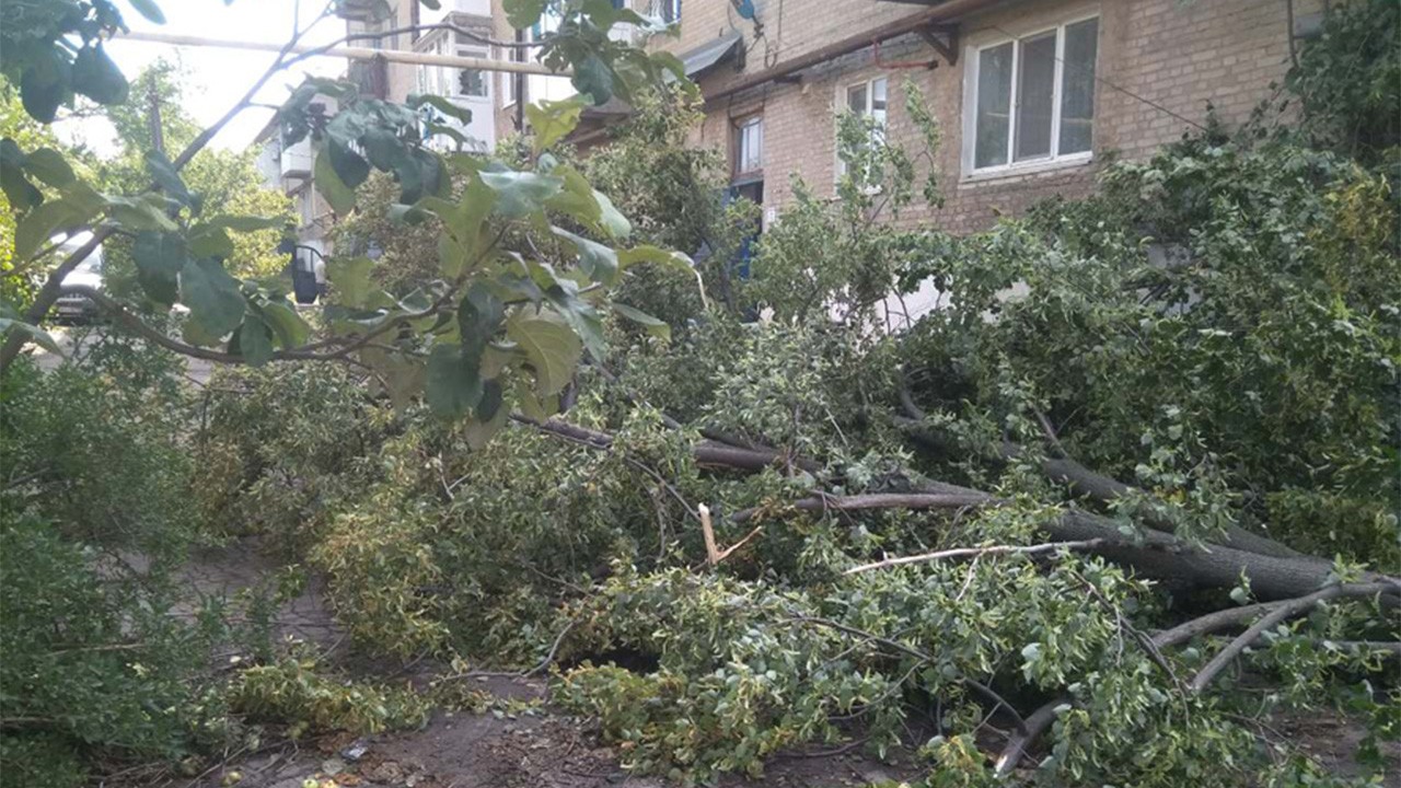 У Волновасі та районі негода пошкодила 19 будинків та лінії електропередач. ФОТО