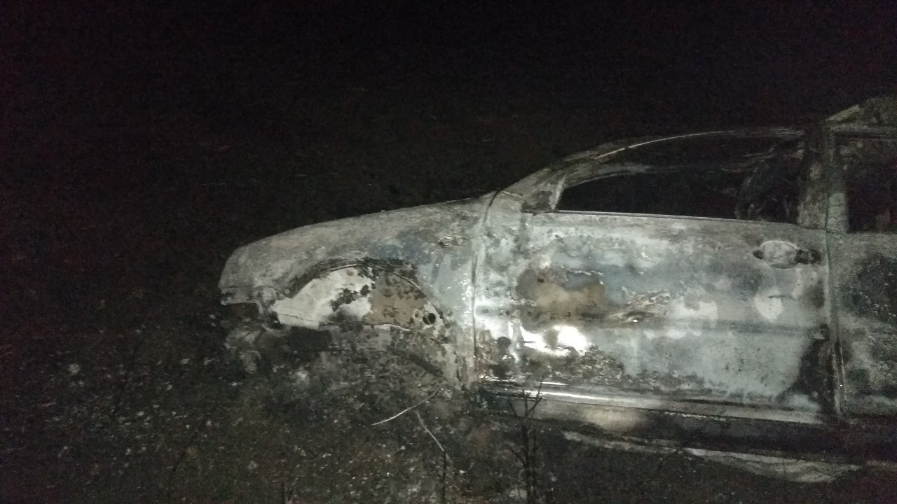На Донеччині через ДТП та загоряння авто загинули дві людини. ФОТО